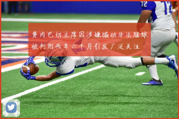费内巴切主席因涉嫌煽动非法赌球被判刑两年六个月引发广泛关注