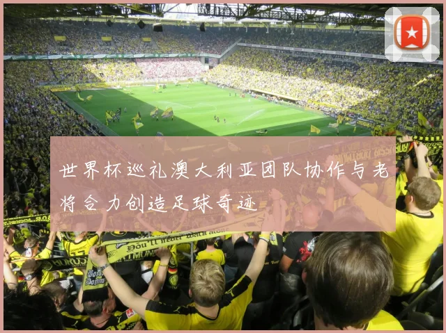 世界杯巡礼澳大利亚团队协作与老将合力创造足球奇迹