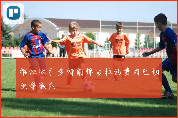维拉欲引多特前锋吉拉西费内巴切竞争激烈